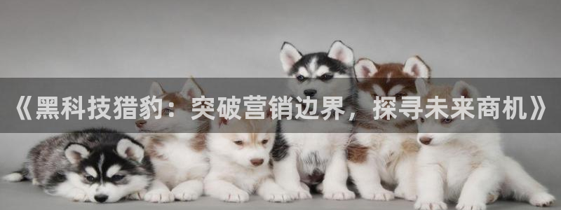 金年会网址