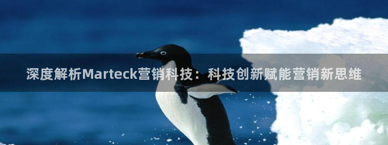 金年会ivp