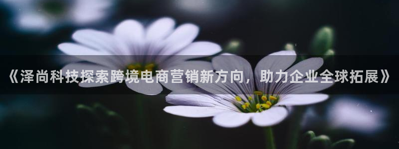 金年会app官方网站入口