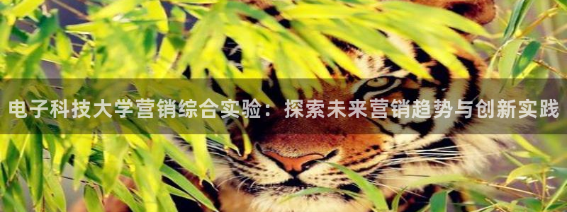 金年会体育官方app下载安卓