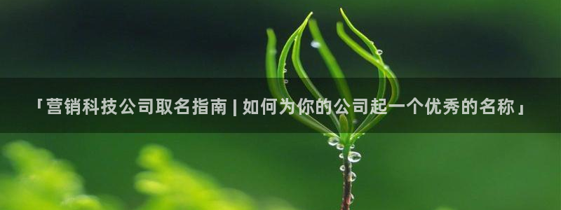 金年会官方在线入口网址是多少