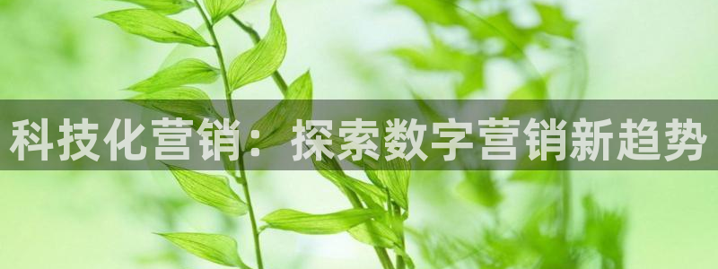 jinnianhui金年会世界杯
