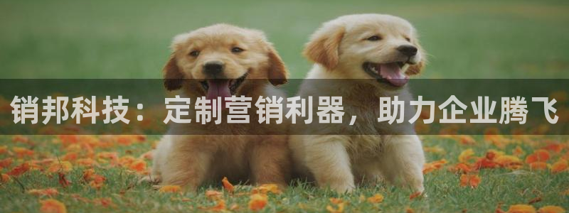 金年会app是不是钓鱼软件
