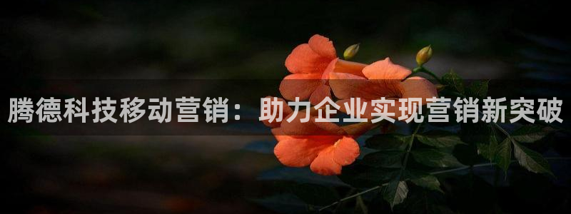 金年会金字招牌网址