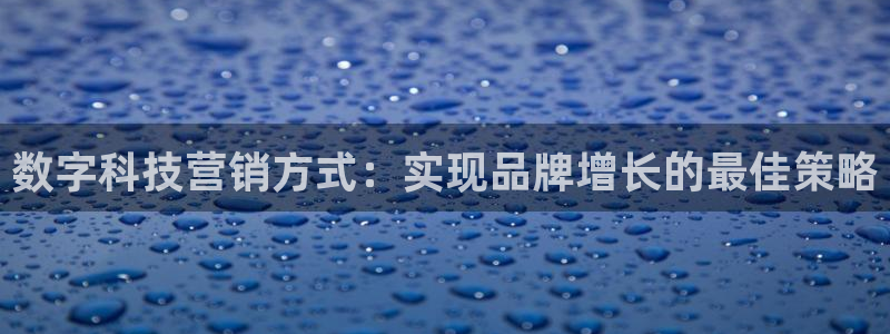 金年会ivp