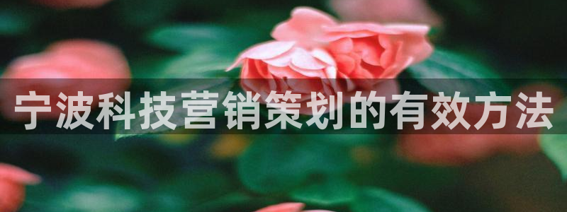 金年会体育网址是多少