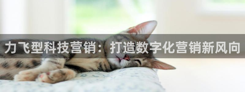 金年会体育app