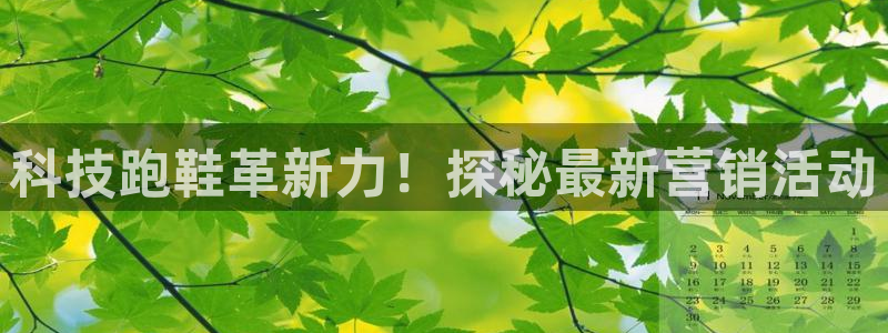 金年会体育app网页版入口