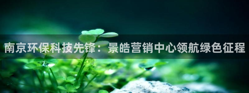 金年会官方入口登录