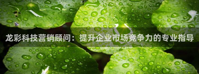 金年会体育电子官方网站