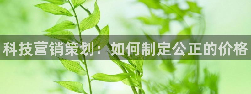 金年会体育app官网入口网址