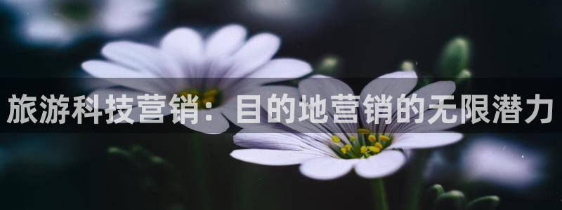 金年会金字招牌至上技术有限公司