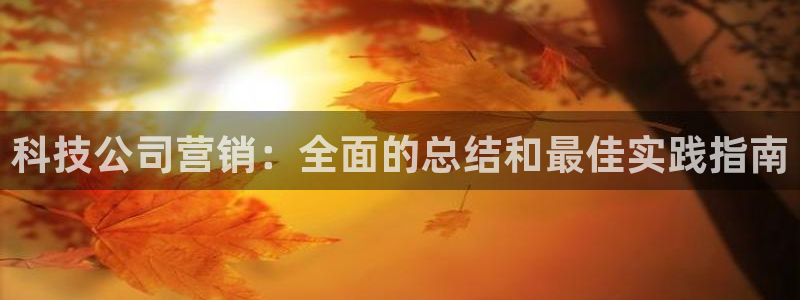 金年会金字招牌诚信至上