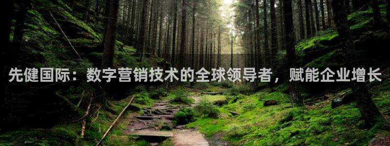 金年会网赌靠普吗