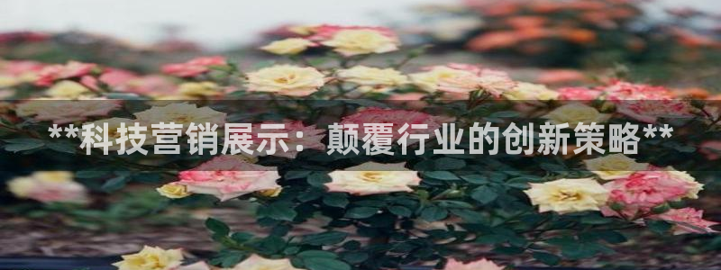 金年会平台是黑网还是白网