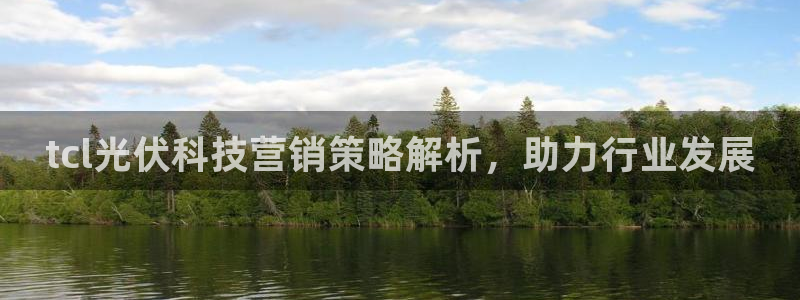 今年会金年会