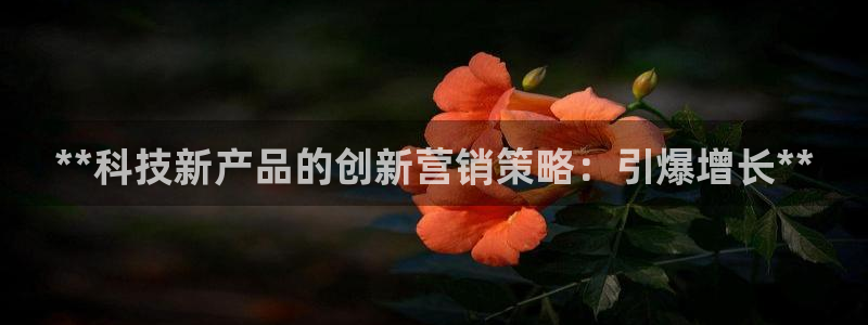 金年会赌博是诈骗吗