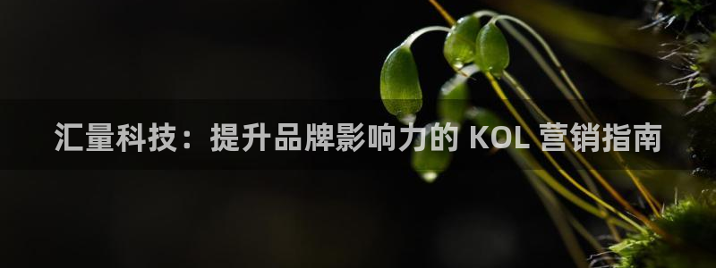 金年会平台真他妈坑人