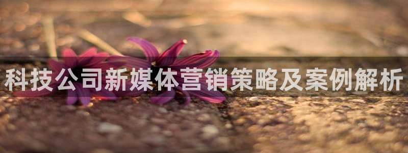 金年会官方体育登陆入口
