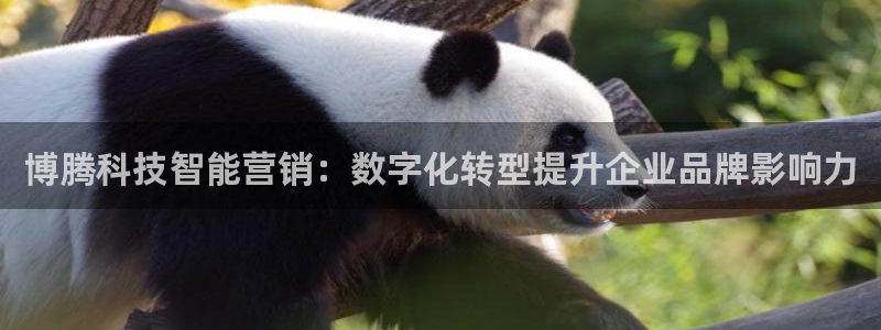 金年会金字招牌下载