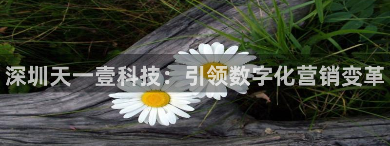 金年会体育在线