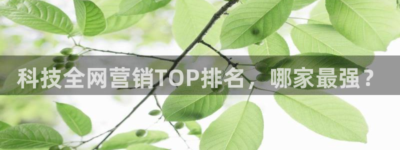 金年会体育合法吗