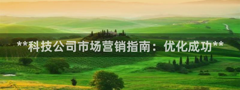 金年会网站洗黑钱