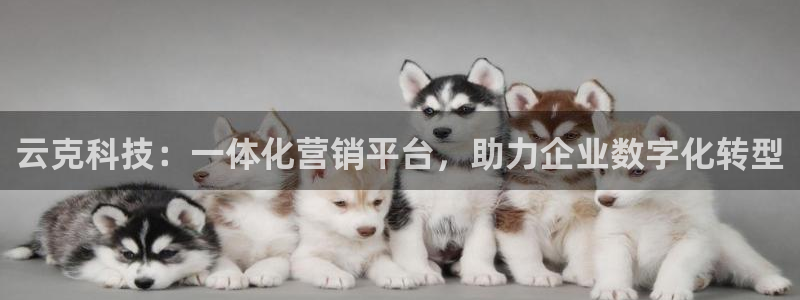金年会ios下载