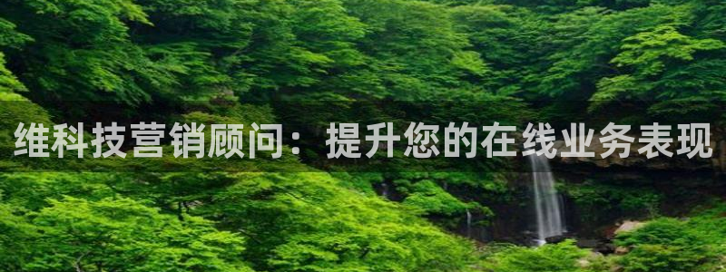 金年会体育网址是多少