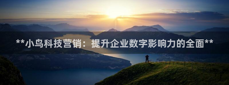 金年会体育网app下载