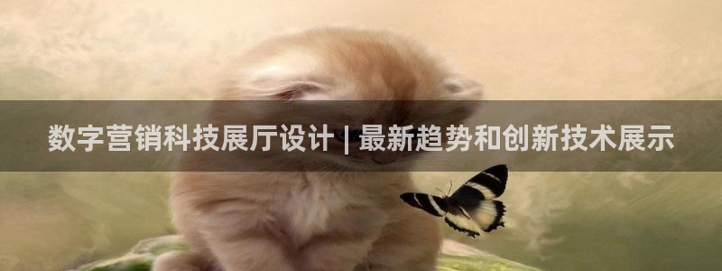金年会平台官网下载