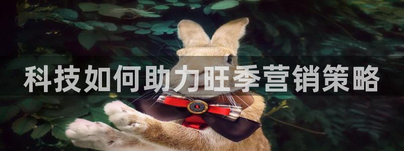 金年会体育平台新地址