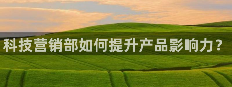 金年会体育平台官网app