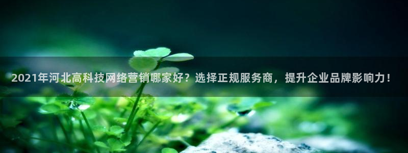 金年会电子游戏怎么玩