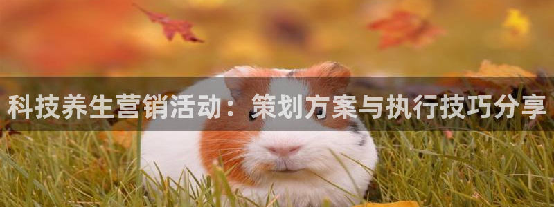 金年会App官方下载