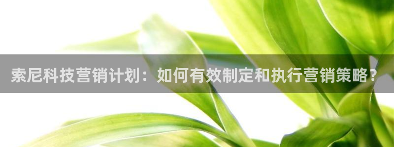 金年会官方平台是什么