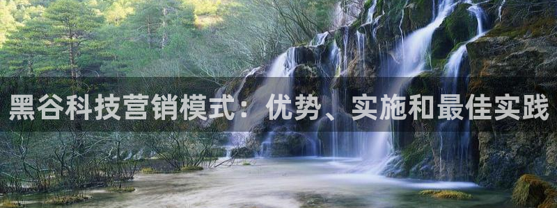 金年会体育买球