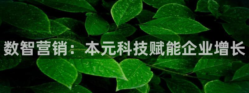 金年会官方网站入口登录手机版下载