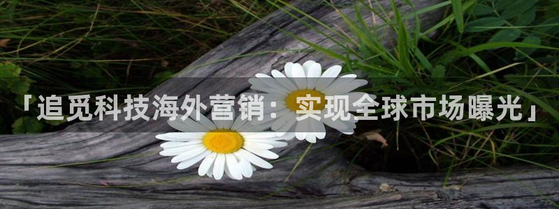 金年会app下载官网