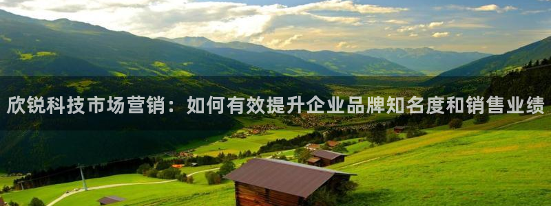 今年会金年会